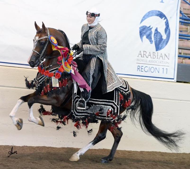 11887848_957360034334925_7138912972686491486_x