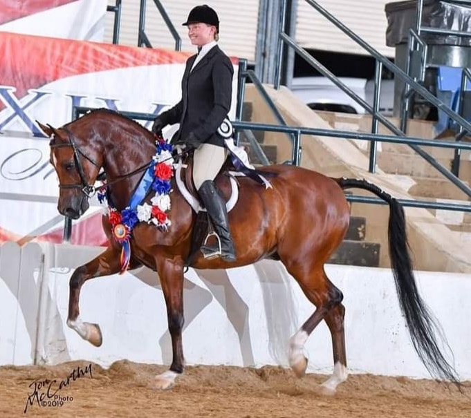 123015416_10157941875164891_8070504667894112839_x