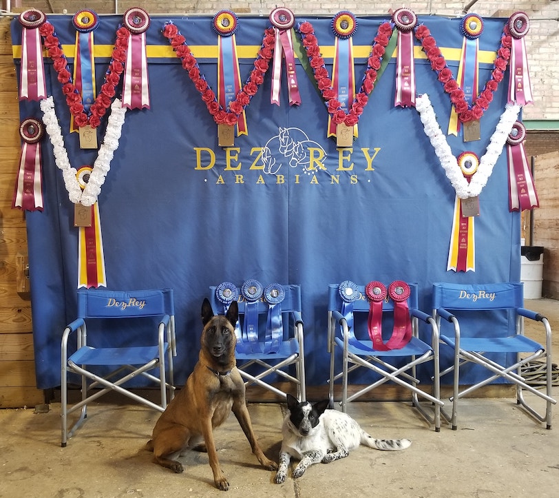 66091658_10156646440794891_9070413910548414464_x